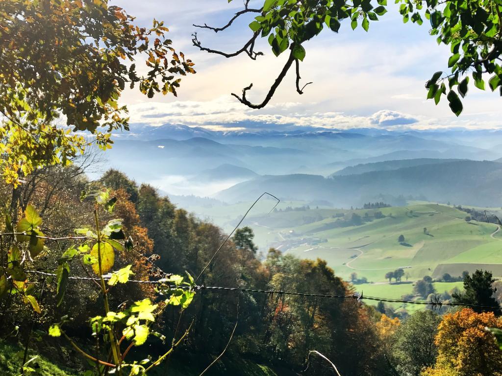 Vila Peregrina Castaneda  Kültér fotó